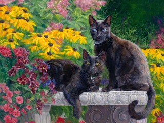 Bulmaca «Black cats»