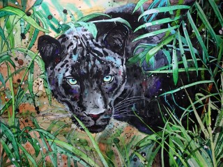 Пазл «Черный леопард»