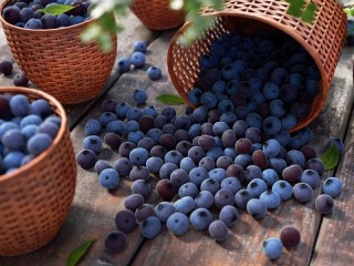 Bulmaca «Blueberry»