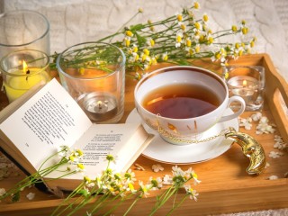 Rompecabezas «Reading while drinking tea»