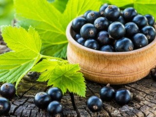 Jigsaw Puzzle «Black currant»