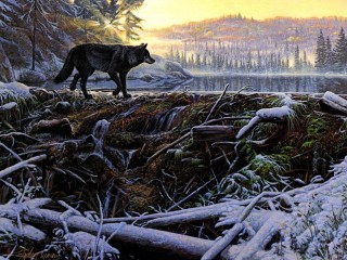 Пазл «Чёрный волк»