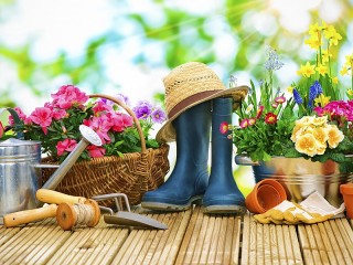 Jigsaw Puzzle «Country still life»