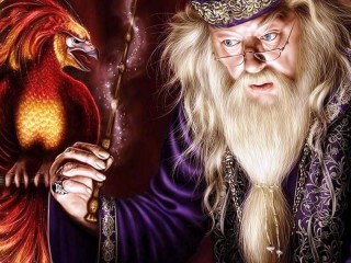 Пазл «Dumbledore and Phoenix»