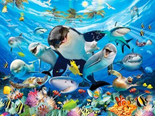Jigsaw Puzzle «Dolphins and sharks»