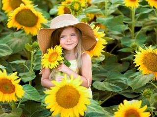 Bulmaca «Girl and sunflowers»