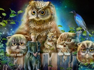 Jigsaw Puzzle «The girl and the owl»