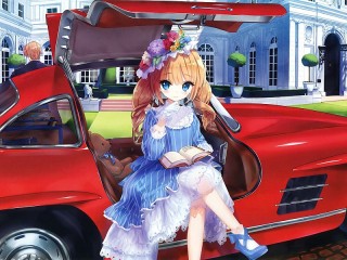 Puzzle «Girl and car»
