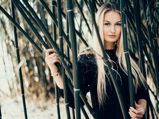 Zagadka «Girl and bamboo»