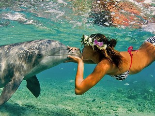 Quebra-cabeça «Girl and dolphin»