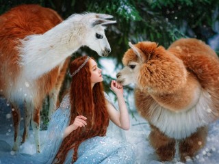 Пазл «Girl and two llamas»