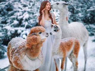 Пазл «Girl and three llamas»