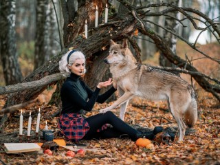 Jigsaw Puzzle «Girl and wolf»