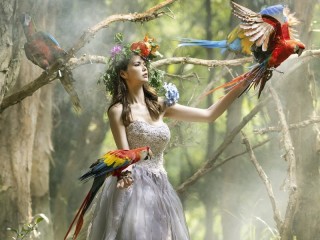 Пазл «Девушка с попугаями»