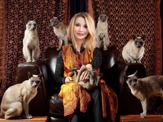 Пазл «A girl with Sphynx cats»