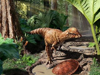 Jigsaw Puzzle «Dinozavr i cherepaha»