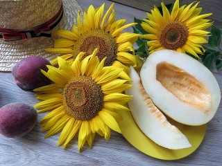 パズル «Melon and sunflowers»