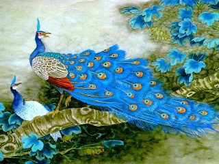 Quebra-cabeça «Marvelous birds»
