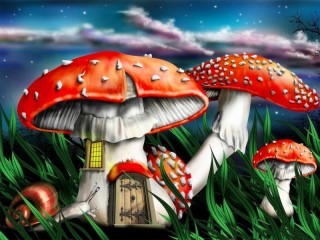 Rompicapo «fly agaric house»