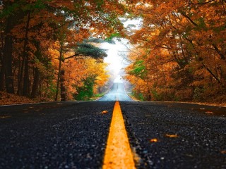 Quebra-cabeça «Road through the autumn forest»