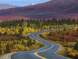 Jigsaw Puzzle «Road in Alaska»