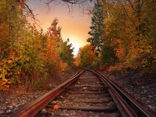Rompecabezas «The road goes into autumn»