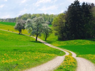 Jigsaw Puzzle «road to summer»