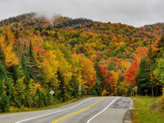 Puzzle «Road in autumn»