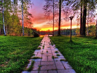 パズル «The road into the sunset»