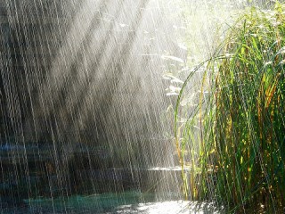 Пазл «Дождь»