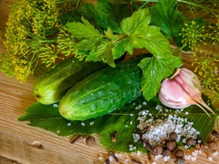Slagalica «Two cucumbers with garlic»