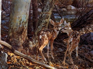 Jigsaw Puzzle «Two deer»