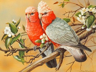 Rompecabezas «Two parrots»
