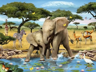 Jigsaw Puzzle «Dva slonenka»