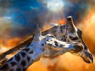 Пазл «Two giraffes»