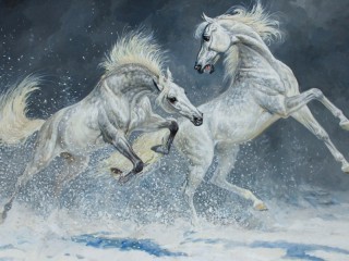 Jigsaw Puzzle «Two horses»