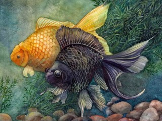Jigsaw Puzzle «Two fishes»