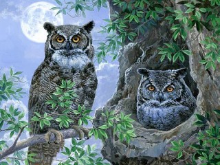 Quebra-cabeça «Two owls»