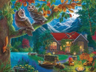 Jigsaw Puzzle «Two owls»