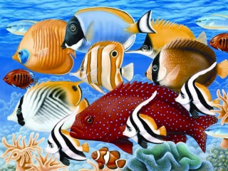 Jigsaw Puzzle «Exotic fish»