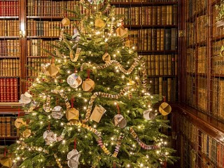 Rompecabezas «Spruce in the library»