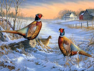 Quebra-cabeça «Pheasants»