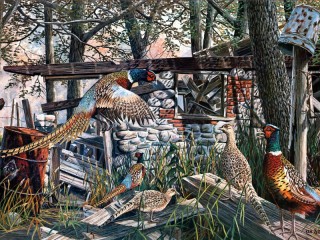 Jigsaw Puzzle «Pheasants among the ruins»
