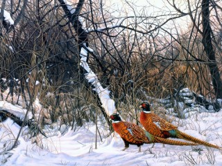 Jigsaw Puzzle «Pheasants in winter»