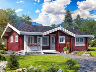 Puzzle «Finnish house»