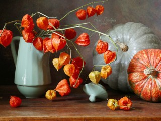 Jigsaw Puzzle «Physalis and pumpkin»