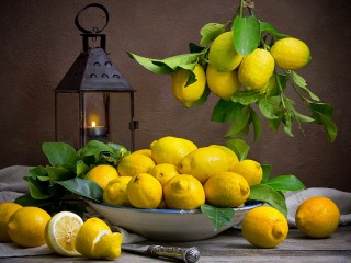 Jigsaw Puzzle «Lantern and lemons»