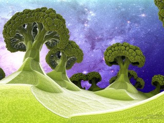 Jigsaw Puzzle «Fractal cabbage»