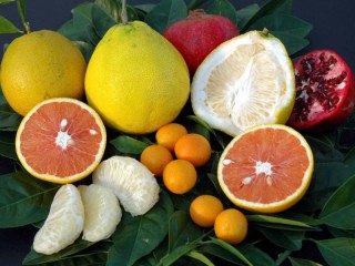 Jigsaw Puzzle «fruits and leaves»