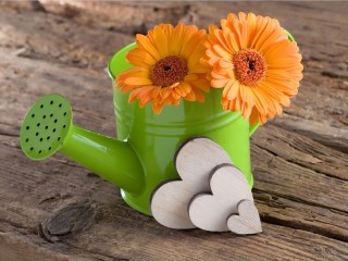 Jigsaw Puzzle «Gerberas and hearts»